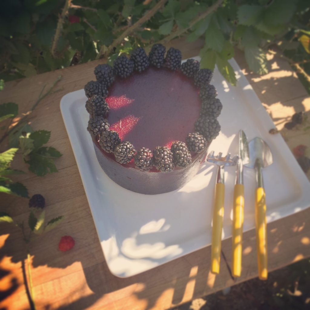 Blackberry Cheesecake